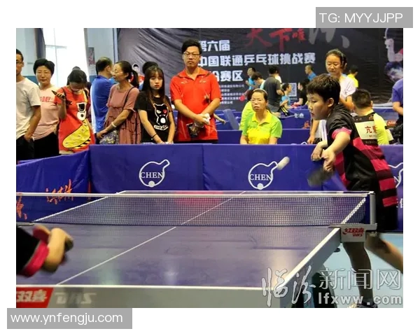 武汉乒乓球队的节奏与风采探讨：聚焦乒乓球的未来发展与挑战