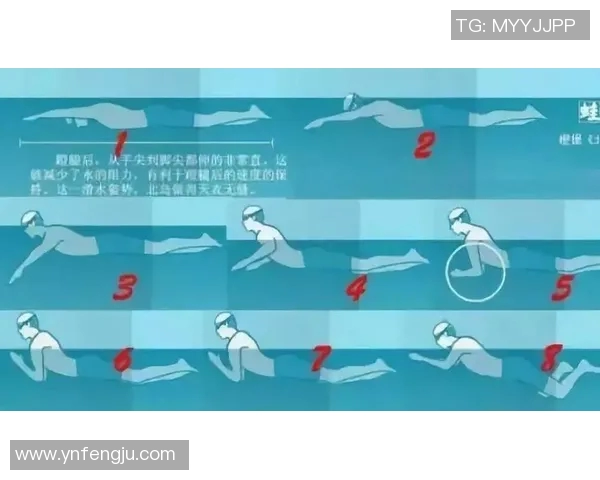 初学者如何轻松掌握蛙泳技巧快速提升游泳水平的实用指南 初学者如何轻松掌握蛙泳技巧快速提升游泳水平的实用指南