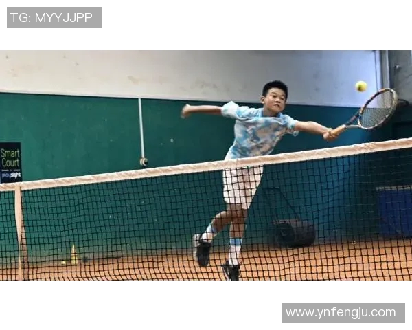 网球运动的魅力与挑战:从基础技巧到职业赛事的全面解析 网球运动的魅力与挑战:从基础技巧到职业赛事的全面解析