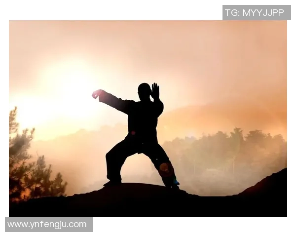 探索中华武术的深厚底蕴与现代传承之路，技艺与哲理的完美融合