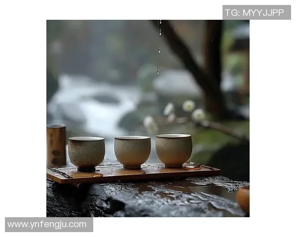 茶堂韵味:在茶香与闲聊中品味时光的静谧与深远